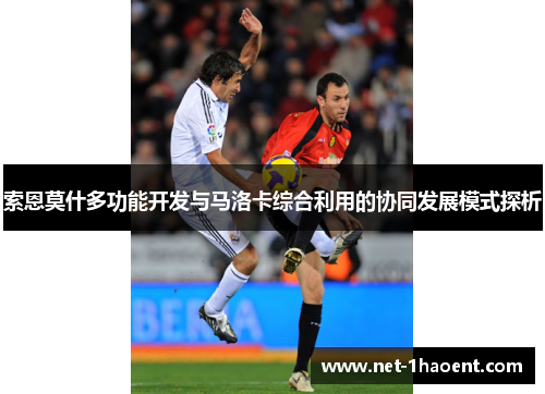 索恩莫什多功能开发与马洛卡综合利用的协同发展模式探析