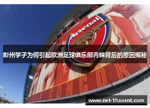彭州学子为何引起欧洲足球俱乐部青睐背后的原因揭秘