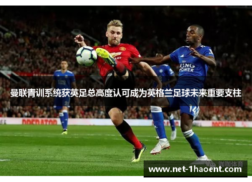 曼联青训系统获英足总高度认可成为英格兰足球未来重要支柱