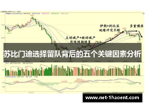 苏比门迪选择留队背后的五个关键因素分析