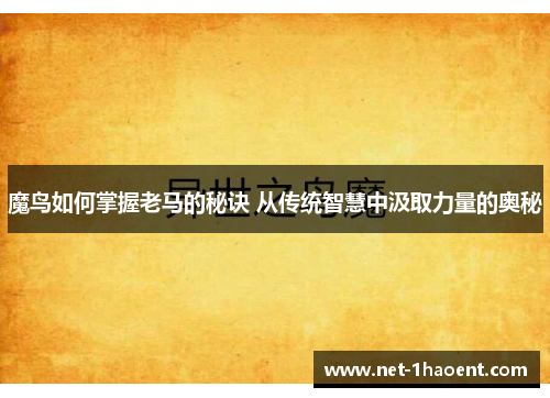 魔鸟如何掌握老马的秘诀 从传统智慧中汲取力量的奥秘 魔鸟如何掌握老马的秘诀 从传统智慧中汲取力量的奥秘