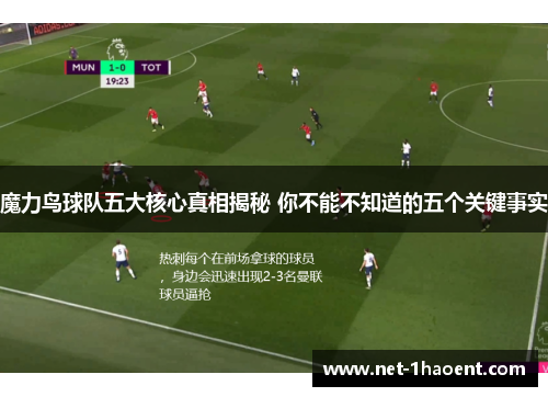 魔力鸟球队五大核心真相揭秘 你不能不知道的五个关键事实 魔力鸟球队五大核心真相揭秘 你不能不知道的五个关键事实